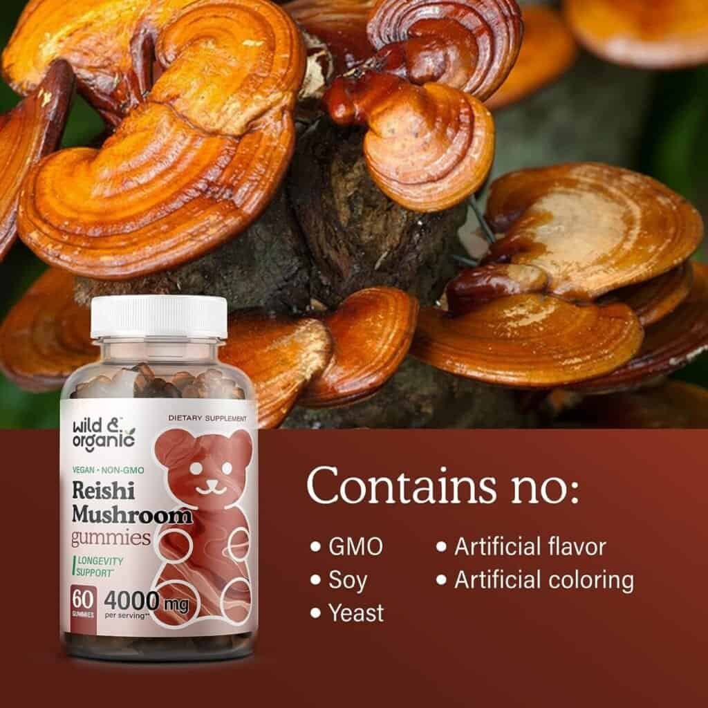 Wild  Organic Reishi Mushroom Gummies - 4:1 Organic Ganoderma Lucidum Extract - Natural Herbal Supplement to Assist Immune System Function, Rest, Energy Levels - 1000mg, 60 Chewables