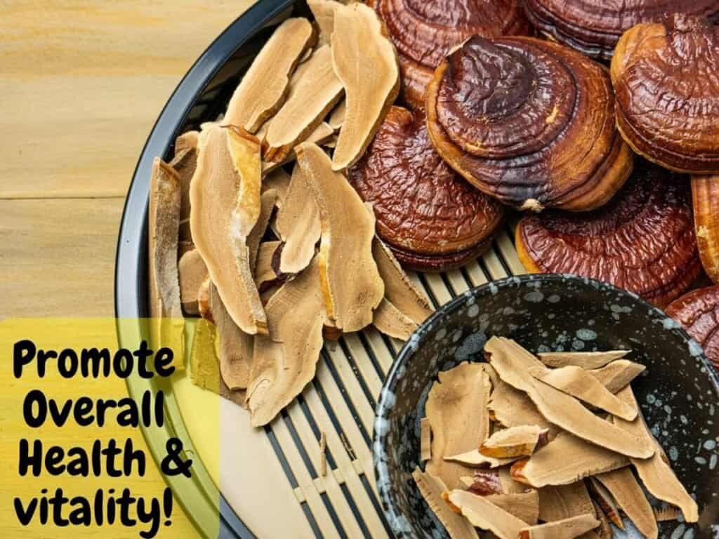 Amazing Mushroom Vegan Gummies: Lions Mane, Cordyceps, Reishi And 7 Other Beneficial Mushroom Extracts Boost Energy Support Strong Immunity Promote Brain Health From OTC Nutricorner